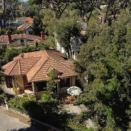 Exclusive Charming Villa - Free Parking 400 Mq Garden - Rome Airport - Roseto Villa Dream Fregenae Εξωτερικό φωτογραφία