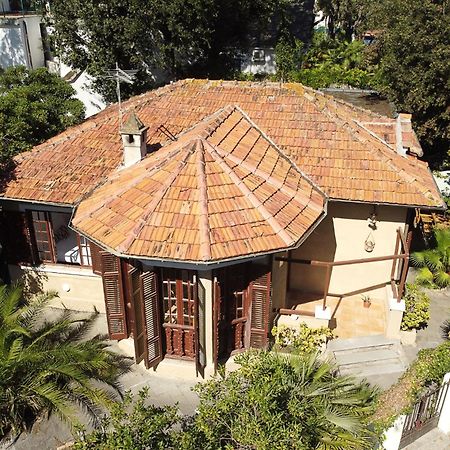 Exclusive Charming Villa - Free Parking 400 Mq Garden - Rome Airport - Roseto Villa Dream Fregenae Εξωτερικό φωτογραφία